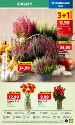 Gazetka promocyjna Lidl - GAZETKA - Gazetka - ważna od 18.09 do 18.09.2024 - strona 61 - produkty: Sok, Por, Gra, Gerber, Cień, O nas, Bukiet