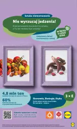 Gazetka promocyjna Lidl - GAZETKA - Gazetka - ważna od 18.09 do 18.09.2024 - strona 64 - produkty: Wazon