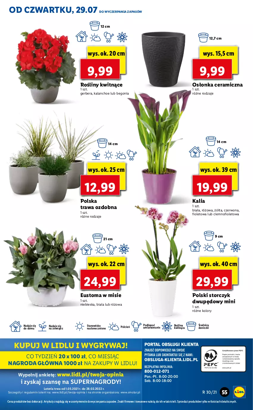 Gazetka promocyjna Lidl - GAZETKA - ważna 29.07 do 31.07.2021 - strona 55 - produkty: Cień, Gerber, Gry, Kalanchoe, Mola, O nas, Osłonka, Storczyk