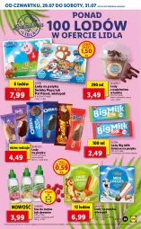 Gazetka promocyjna Lidl - GAZETKA - Gazetka - ważna od 31.07 do 31.07.2021 - strona 33 - produkty: Sos, Ser, Inka, Big Milk, Lody, Leon, Algida, Tymbark, Deser, Psi Patrol, Kokos, LG