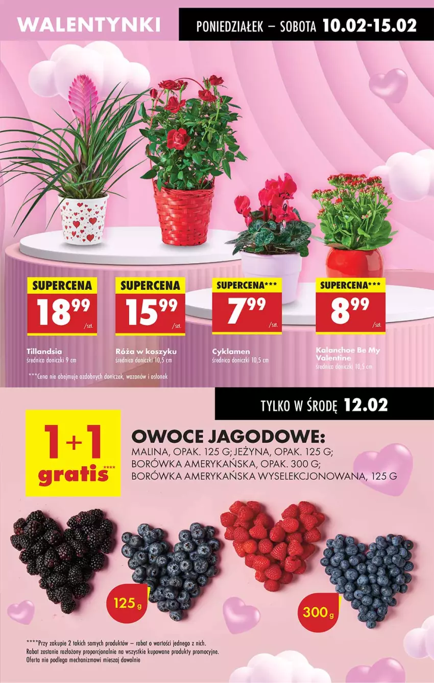 Gazetka promocyjna Biedronka - Od Poniedziałku - ważna 10.02 do 15.02.2025 - strona 25 - produkty: Borówka, Borówka amerykańska, Owoce, Por