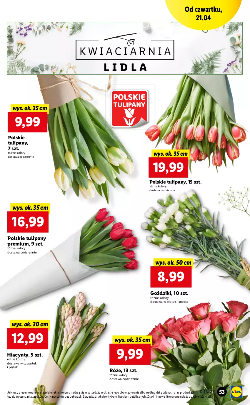 Gazetka promocyjna Lidl - GAZETKA - ważna 21.04 do 24.04.2022 - strona 53 - produkty: Hiacynt, Tulipan