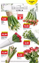 Gazetka promocyjna Lidl - GAZETKA - Gazetka - ważna od 24.04 do 24.04.2022 - strona 53 - produkty: Hiacynt, Tulipan