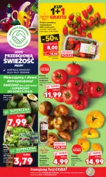 Gazetka promocyjna Kaufland - Mocny Start - Gazetka - ważna od 24.05 do 24.05.2023 - strona 6 - produkty: Gra, Siatka, Sałat, Grunt, Olej, Pomidory