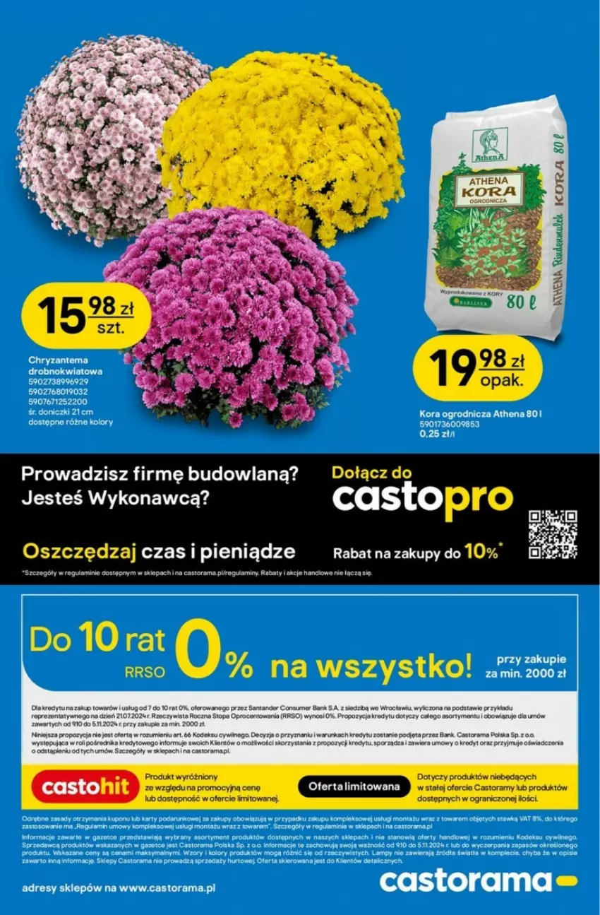 Gazetka promocyjna Castorama - ważna 23.10 do 05.11.2024 - strona 8 - produkty: Astor, Chryzantema, Dres, Gra, Por, Rama, Top