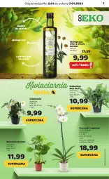 Gazetka promocyjna Netto - Artykuły spożywcze - Gazetka - ważna od 07.01 do 07.01.2023 - strona 7 - produkty: Tera, Sałat, Storczyk, Oliwa z oliwek, Oliwa