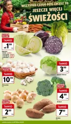 Gazetka promocyjna Intermarche - Gazetka - ważna od 23.10 do 23.10.2024 - strona 43 - produkty: Piec, Cebula, Pieczarka