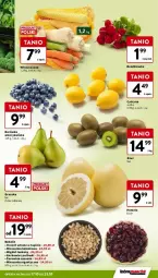 Gazetka promocyjna Intermarche - Gazetka - ważna od 23.10 do 23.10.2024 - strona 44 - produkty: Siatka, Mieszanka bakaliowa, Rzodkiewka