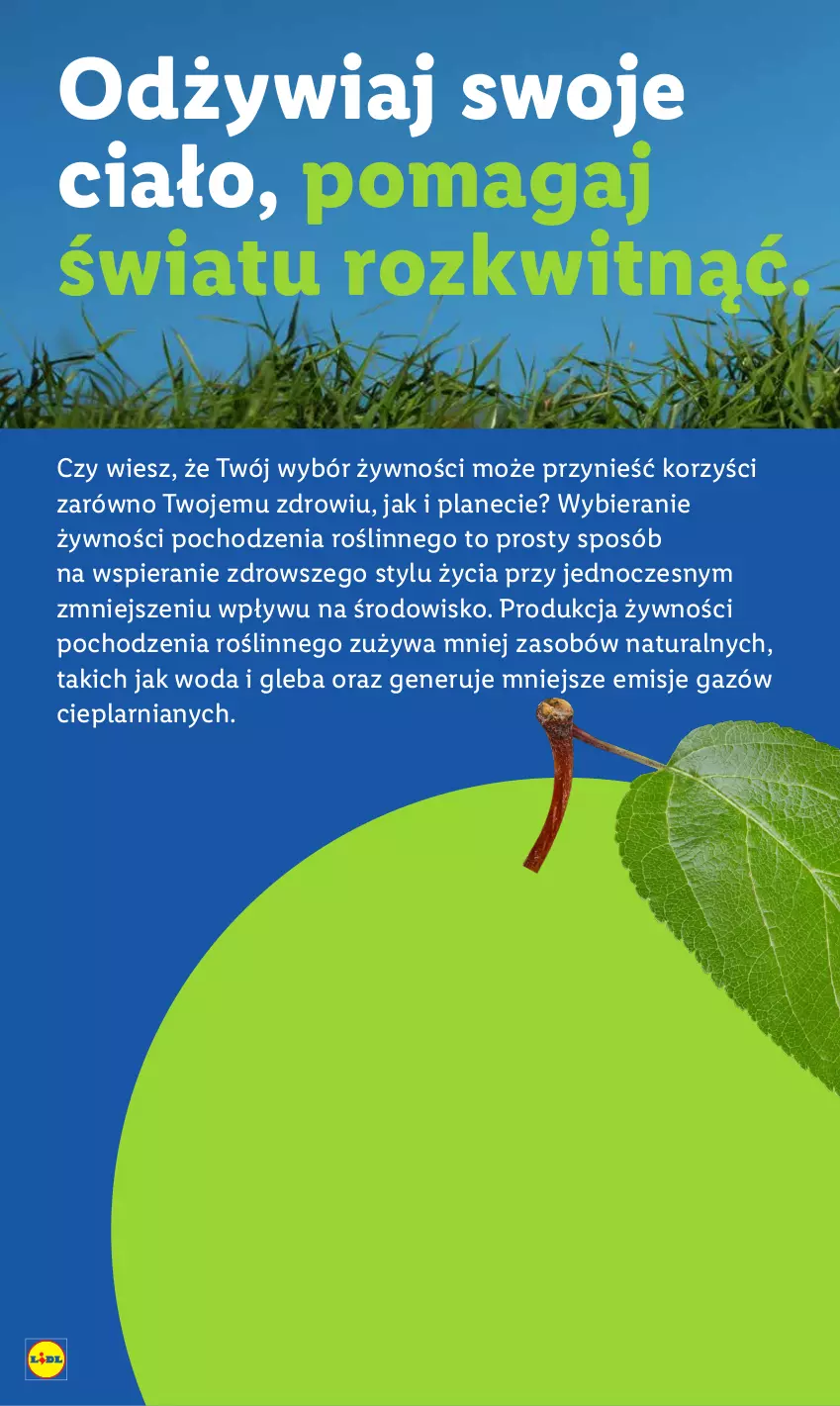 Gazetka promocyjna Lidl - GAZETKA - ważna 25.08 do 27.08.2025 - strona 64 - produkty: Woda