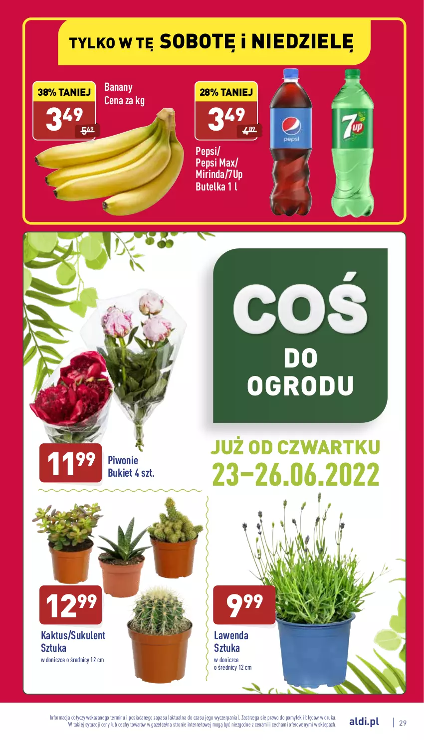 Gazetka promocyjna Aldi - Pełny katalog - ważna 20.06 do 26.06.2022 - strona 29 - produkty: 7up, Banany, Bukiet, Kaktus, Mirinda, Pepsi, Pepsi max, Piwo, Sukulent