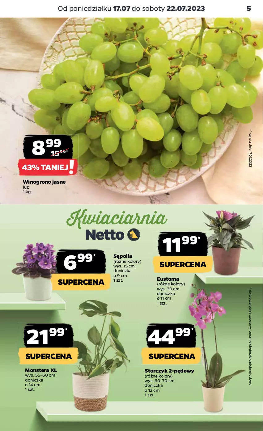 Gazetka promocyjna Netto - Artykuły spożywcze - ważna 17.07 do 22.07.2023 - strona 5 - produkty: Sępolia, Storczyk, Tera, Wino