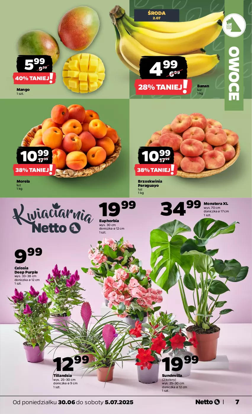 Gazetka promocyjna Netto - Od Poniedziałku - ważna 30.06 do 05.07.2025 - strona 7 - produkty: Mango, Morela, Owoce, Pur, Tera
