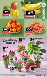 Gazetka promocyjna Netto - Od Poniedziałku - Gazetka - ważna od 05.07 do 05.07.2025 - strona 7 - produkty: Pur, Morela, Tera, Owoce, Mango
