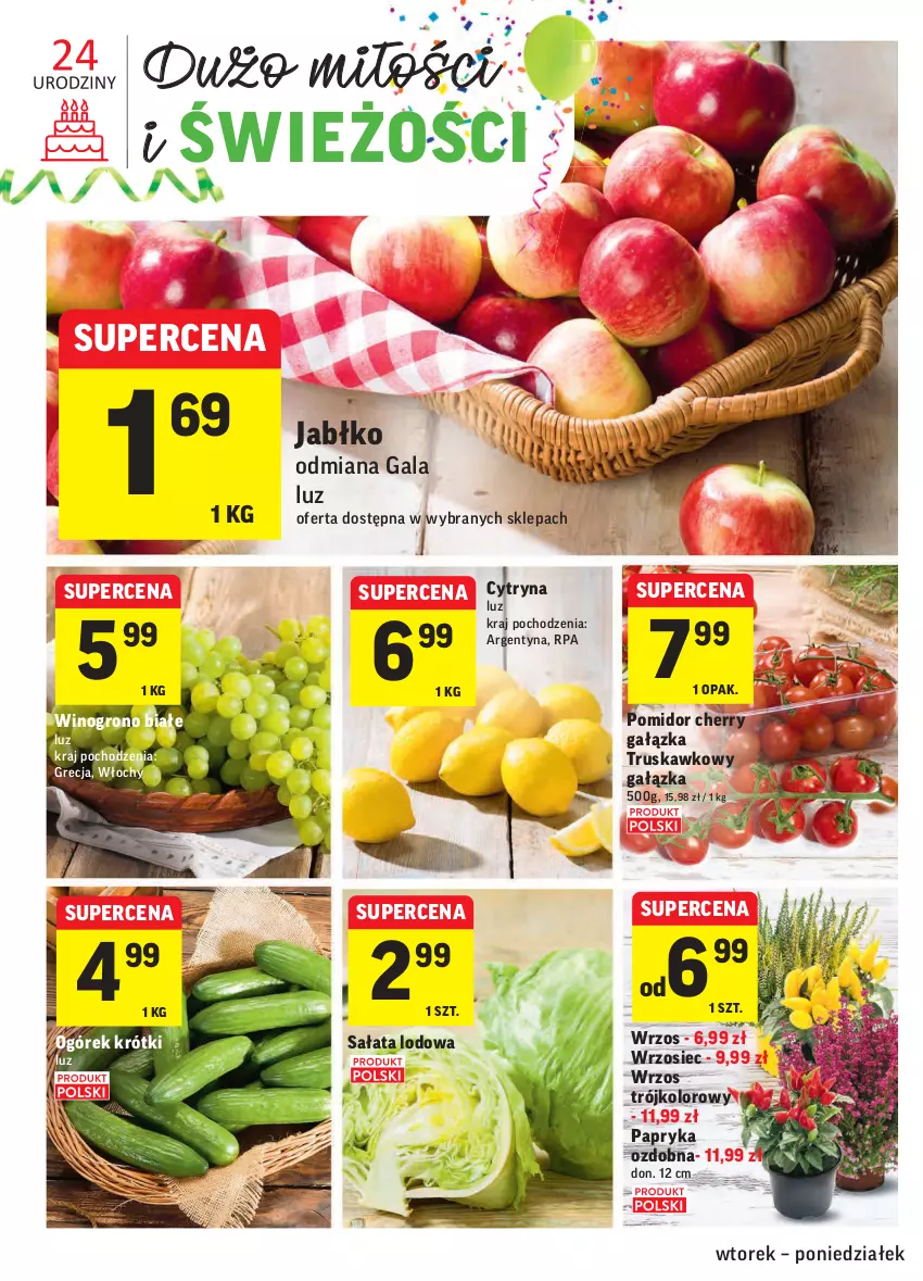 Gazetka promocyjna Intermarche - Gazetka promocyjna - ważna 05.10 do 11.10.2021 - strona 10 - produkty: Gala, Ogórek, Papryka, Sałat, Sałata lodowa, Wino