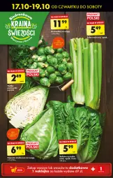 Gazetka promocyjna Biedronka - Od Czwartku - Gazetka - ważna od 23.10 do 23.10.2024 - strona 18 - produkty: Klej, Laur, Sałat, Seler naciowy, Fa