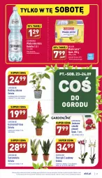 Gazetka promocyjna Aldi - Pełny katalog - Gazetka - ważna od 24.09 do 24.09.2022 - strona 27 - produkty: Piwo, Sok, Storczyk, Woda mineralna, Woda, Masło, Cisowianka