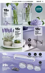 Gazetka promocyjna Netto - Gazetka - ważna od 21.08 do 21.08.2024 - strona 7 - produkty: Wazon, Sukulent