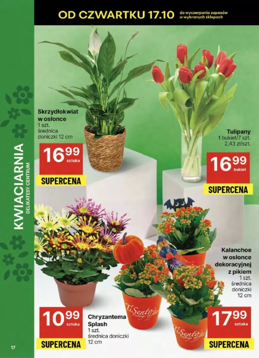 Gazetka promocyjna Delikatesy Centrum - ważna 17.10 do 23.10.2024 - strona 9 - produkty: Chryzantema, Kalanchoe, Rum