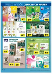 Gazetka promocyjna Carrefour - Gazetka Market - Gazetka - ważna od 11.06 do 11.06.2022 - strona 46 - produkty: Domestos, Rexona, Dove, Podpaski, Płyn do wc, Wkładki, Antyperspirant