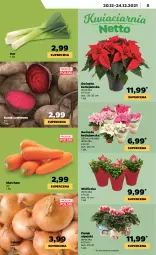 Gazetka promocyjna Netto - Gazetka spożywcza - Gazetka - ważna od 24.12 do 24.12.2021 - strona 5 - produkty: Cebula, Por, Gwiazda
