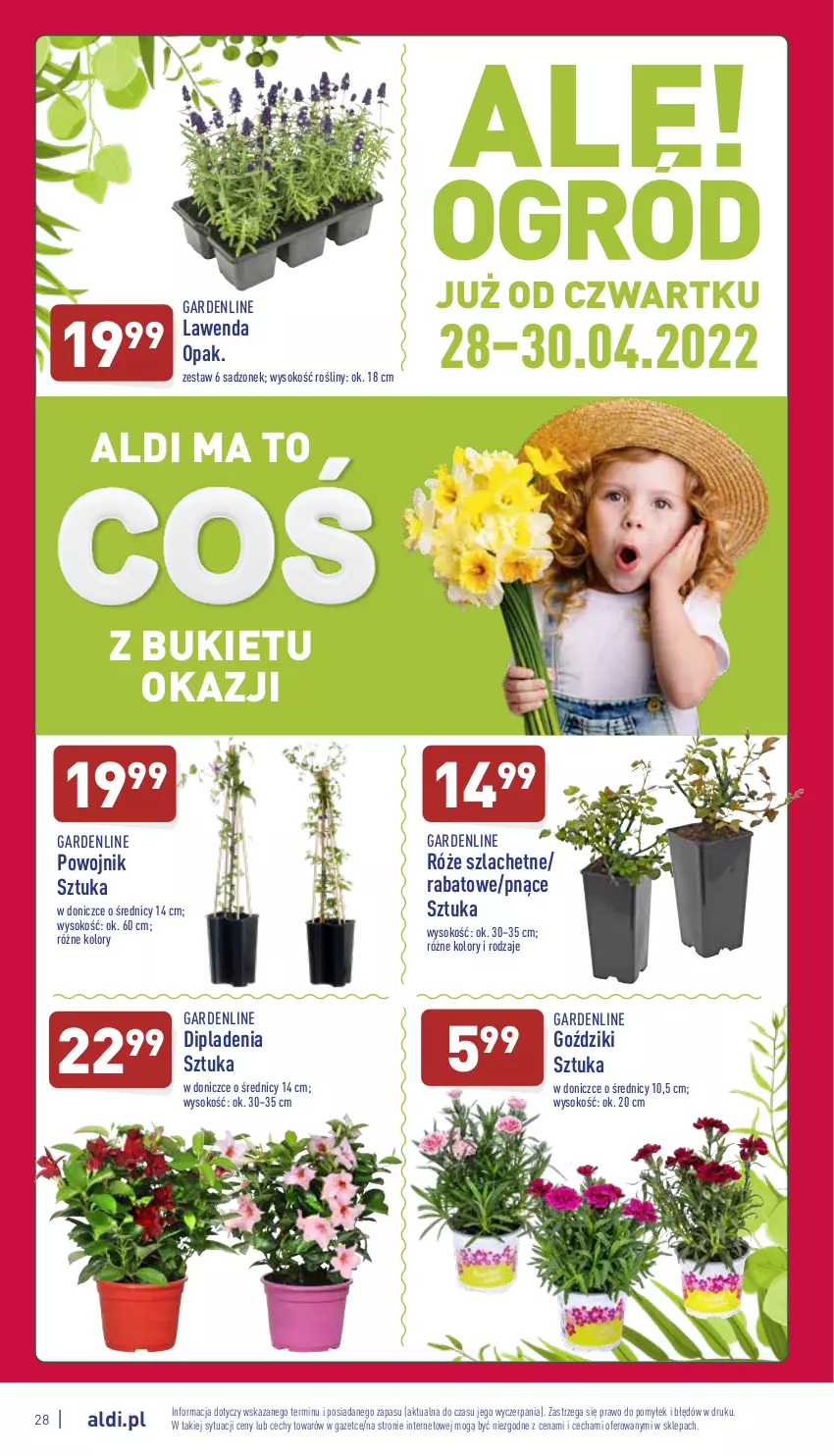 Gazetka promocyjna Aldi - Pełny katalog - ważna 25.04 do 30.04.2022 - strona 28 - produkty: Bukiet, Sok