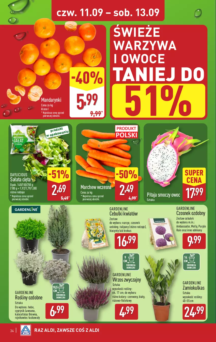 Gazetka promocyjna Aldi - Pełna oferta - ważna 08.09 do 13.09.2025 - strona 34 - produkty: Cyprysik, Czosnek, Fa, Hiacynt, Krokus, Mandarynki, Narcyz, Owoce, Pur, Sałat, Sok, Tulipan, Warzywa, Warzywa i owoce