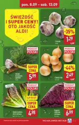 Gazetka promocyjna Aldi - Pełna oferta - Gazetka - ważna od 13.09 do 13.09.2025 - strona 5 - produkty: Cebula, Czosnek, Sałat