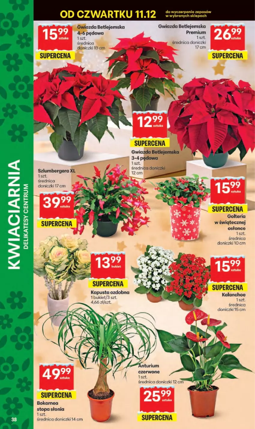 Gazetka promocyjna Delikatesy Centrum - Franczyza DC50 Czwartek - ważna 11.12 do 17.12.2025 - strona 38 - produkty: Bukiet, Gwiazda, Top