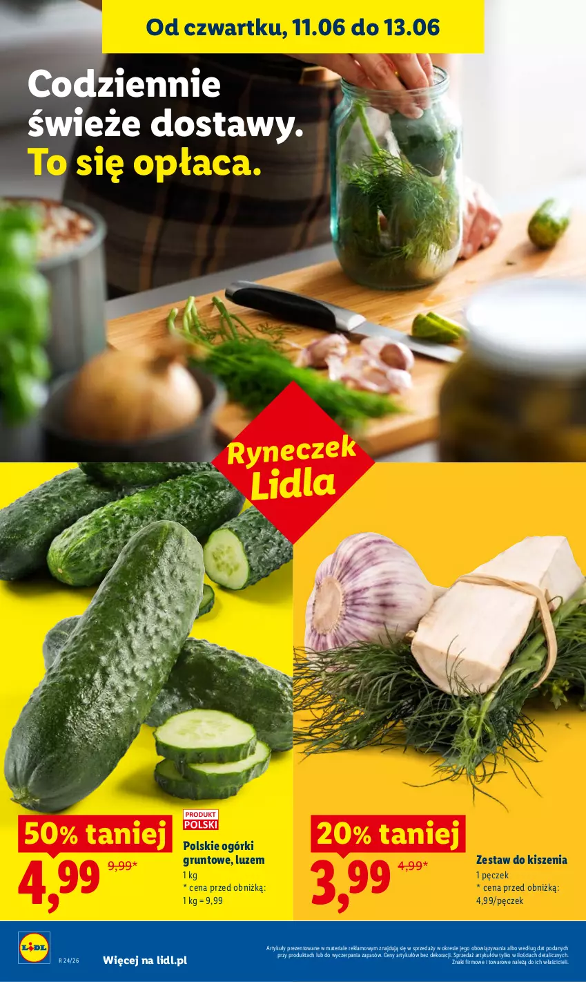 Gazetka promocyjna Lidl - Gazetka ważna od 11.06 do 13.06 - ważna 11.06 do 13.06.2026 - strona 44 - produkty: Grunt