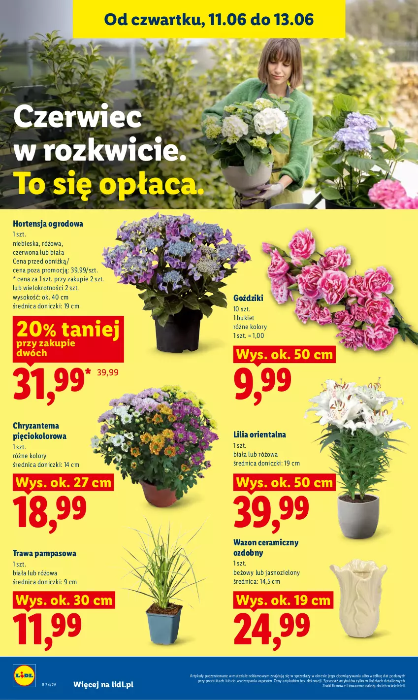 Gazetka promocyjna Lidl - Gazetka ważna od 11.06 do 13.06 - ważna 11.06 do 13.06.2026 - strona 92 - produkty: Bukiet, Chryzantema, Sok, Wazon