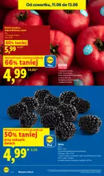 Gazetka promocyjna Lidl - Gazetka ważna od 11.06 do 13.06 - Gazetka - ważna od 13.06 do 13.06.2026 - strona 18 - produkty: Jeżyny, Olej, Pomidory