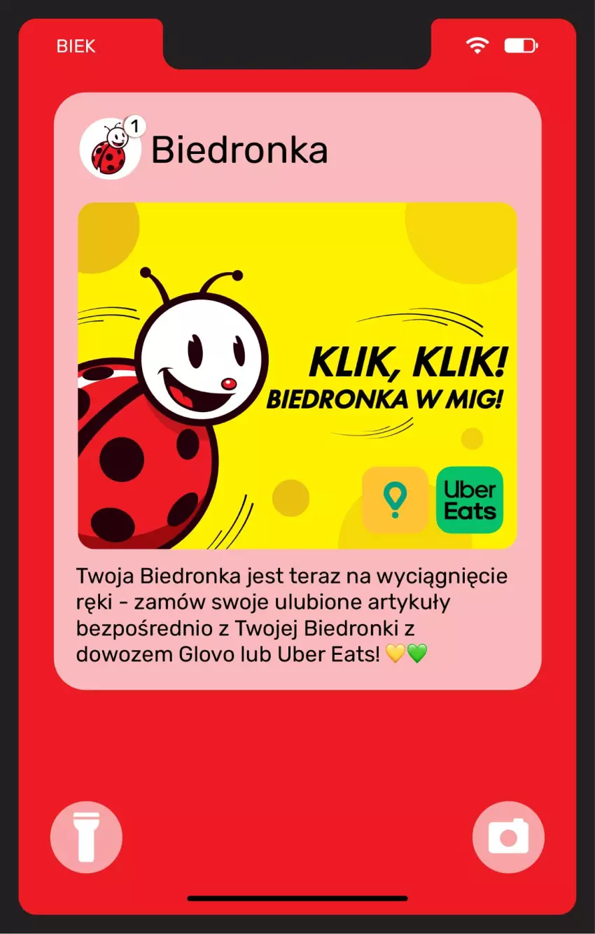Gazetka promocyjna Biedronka - Gazetka - ważna 10.04 do 17.04.2026 - strona 11 - produkty: Tera