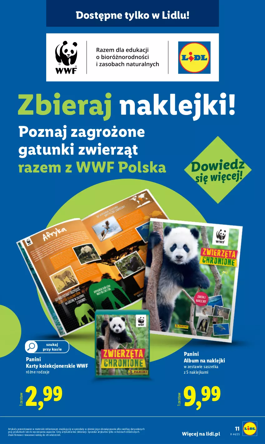 Gazetka promocyjna Lidl - GAZETKA - ważna 27.10 do 31.10.2025 - strona 15 - produkty: Album, Klej