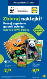Gazetka promocyjna Lidl - GAZETKA - Gazetka - ważna od 31.10 do 31.10.2025 - strona 15 - produkty: Klej, Album