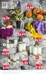 Gazetka promocyjna Kaufland - OFERTA TYGODNIA - Gazetka - ważna od 05.10 do 05.10.2022 - strona 41 - produkty: Gra, Chryzantema, Bukiet, Znicz, Olej, Mięta, Wkład olejowy