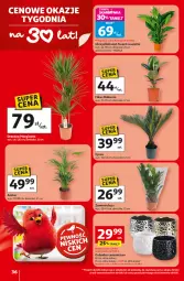 Gazetka promocyjna Auchan - 30 Lat Hipermarket - Gazetka - ważna od 25.02 do 25.02.2026 - strona 36 - produkty: Laur, Osłonka