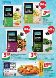 Gazetka promocyjna Dino - Gazetka 33 / 2024 - Gazetka - ważna od 20.08 do 20.08.2024 - strona 25 - produkty: Warzywa, Frosta, Por, Zupa, Paluszki rybne, Ogród, Szpinak