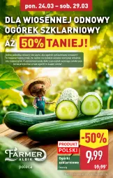 Gazetka promocyjna Aldi - Pełna oferta - Gazetka - ważna od 29.03 do 29.03.2025 - strona 4 - produkty: Warzywa, Ogórek, Tera