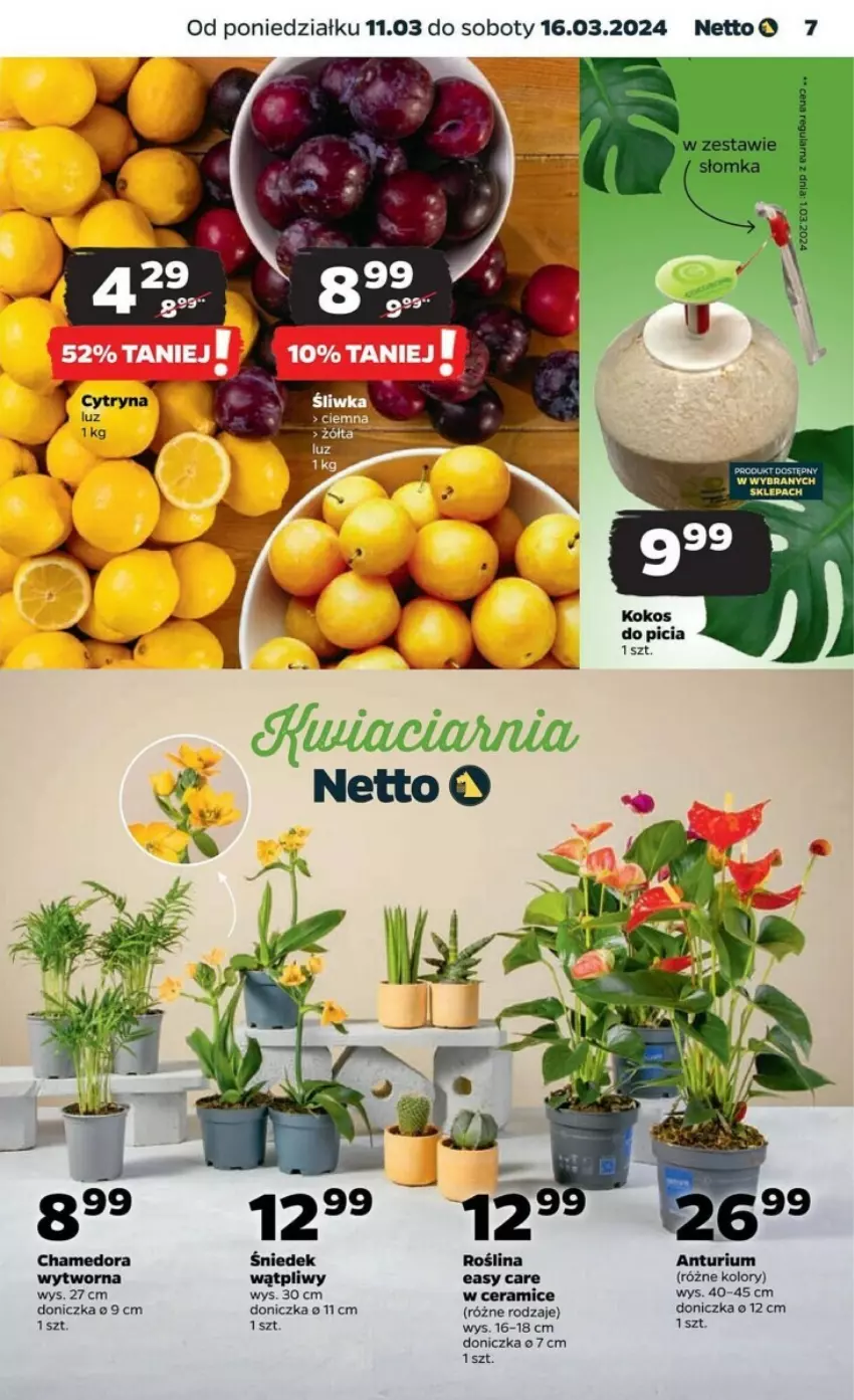 Gazetka promocyjna Netto - ważna 11.03 do 16.03.2024 - strona 22