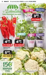 Gazetka promocyjna Netto - Gazetka - ważna od 16.03 do 16.03.2024 - strona 21 - produkty: Papryka słodka, Zioła w doniczce, Papryka