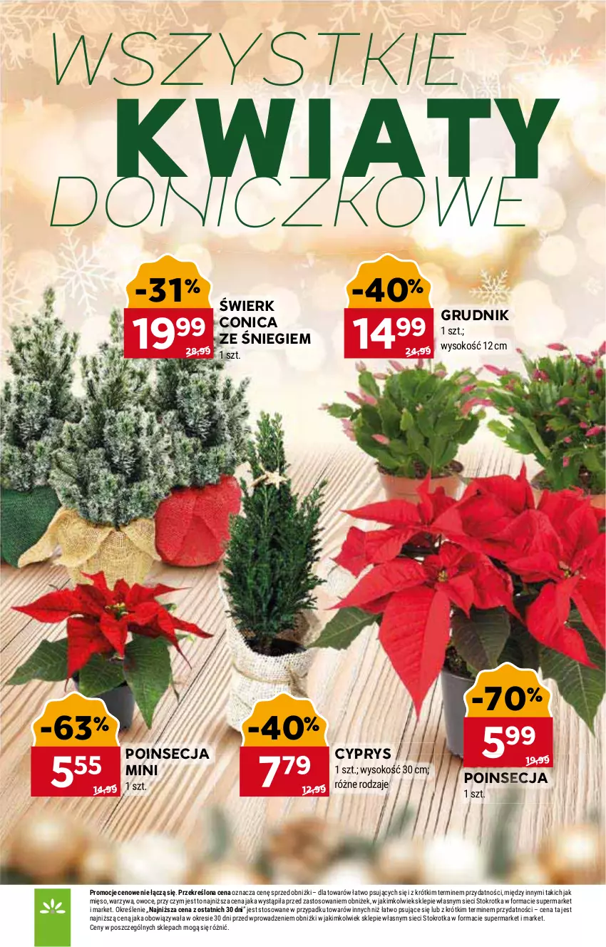 Gazetka promocyjna Stokrotka - Supermarket - ważna 22.12 do 28.12.2025 - strona 10 - produkty: Mięso, Owoce, Poinsecja, Sok, Warzywa