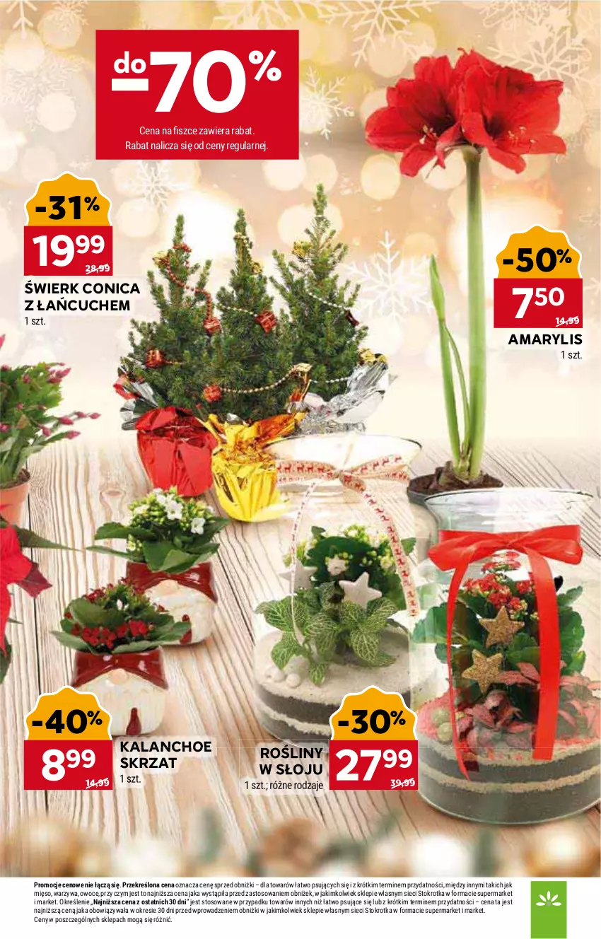Gazetka promocyjna Stokrotka - Supermarket - ważna 22.12 do 28.12.2025 - strona 11 - produkty: Amarylis, Kalanchoe, Mięso, Owoce, Skrzat, Warzywa