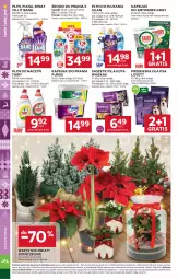 Gazetka promocyjna Stokrotka - Supermarket - Gazetka - ważna od 28.12 do 28.12.2025 - strona 38 - produkty: Warzywa, Pur, Gra, Whiskas, Cillit Bang, Silan, Płyn do płukania, Fairy, Owoce, Kapsułki do prania, Mięso, Fa