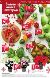 Gazetka promocyjna Stokrotka - Supermarket - Gazetka - ważna od 06.12 do 06.12.2023 - strona 7 - produkty: Warzywa, Sałata lodowa, Papryka, Gwiazda, Sałat, Gruszki, Owoce, Pomidory, Rzodkiewka, Mięso