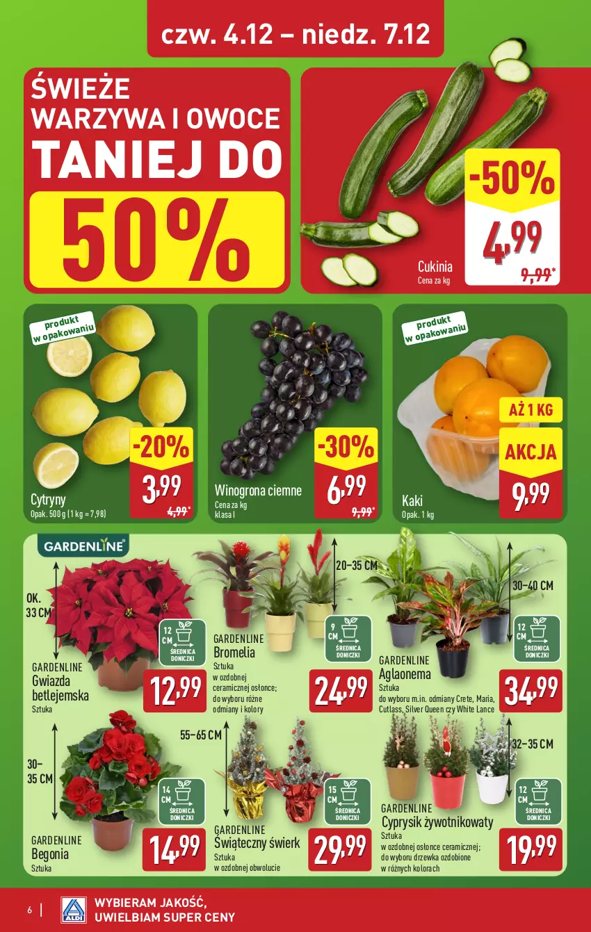 Gazetka promocyjna Aldi - Wykwintne smaki - ważna 04.12 do 07.12.2025 - strona 6 - produkty: Bromelia, Cyprysik, Cytryny, Gwiazda, Kaki, Owoce, Warzywa, Warzywa i owoce, Wino, Winogrona