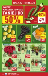 Gazetka promocyjna Aldi - Wykwintne smaki - Gazetka - ważna od 07.12 do 07.12.2025 - strona 6 - produkty: Warzywa, Cyprysik, Warzywa i owoce, Cytryny, Kaki, Gwiazda, Winogrona, Bromelia, Owoce, Wino