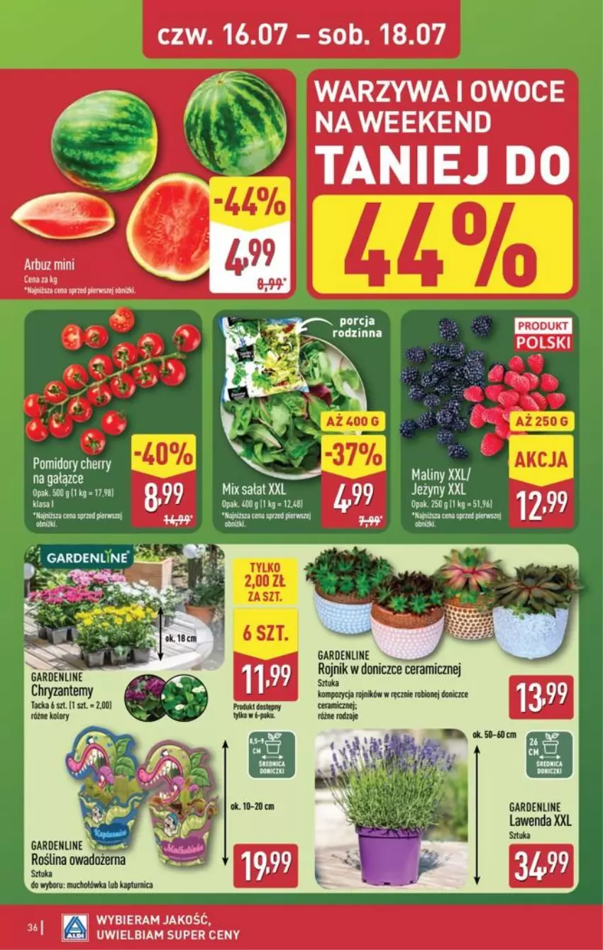 Gazetka promocyjna Aldi - Pełna oferta - ważna 13.07 do 18.07.2026 - strona 36 - produkty: Arbuz, Maliny, Owoce, Por, Waga, Warzywa