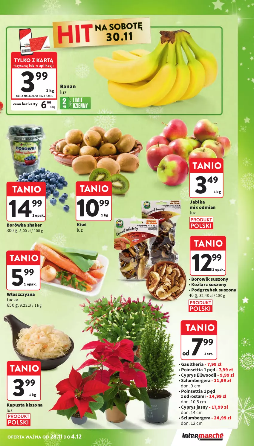 Gazetka promocyjna Intermarche - ważna 28.11 do 04.12.2024 - strona 25 - produkty: Borówka, Jabłka, Kiwi, Szlumbergera