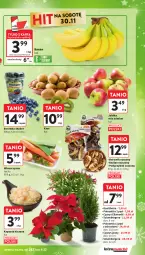 Gazetka promocyjna Intermarche - Gazetka - ważna od 04.12 do 04.12.2024 - strona 25 - produkty: Borówka, Szlumbergera, Kiwi, Jabłka