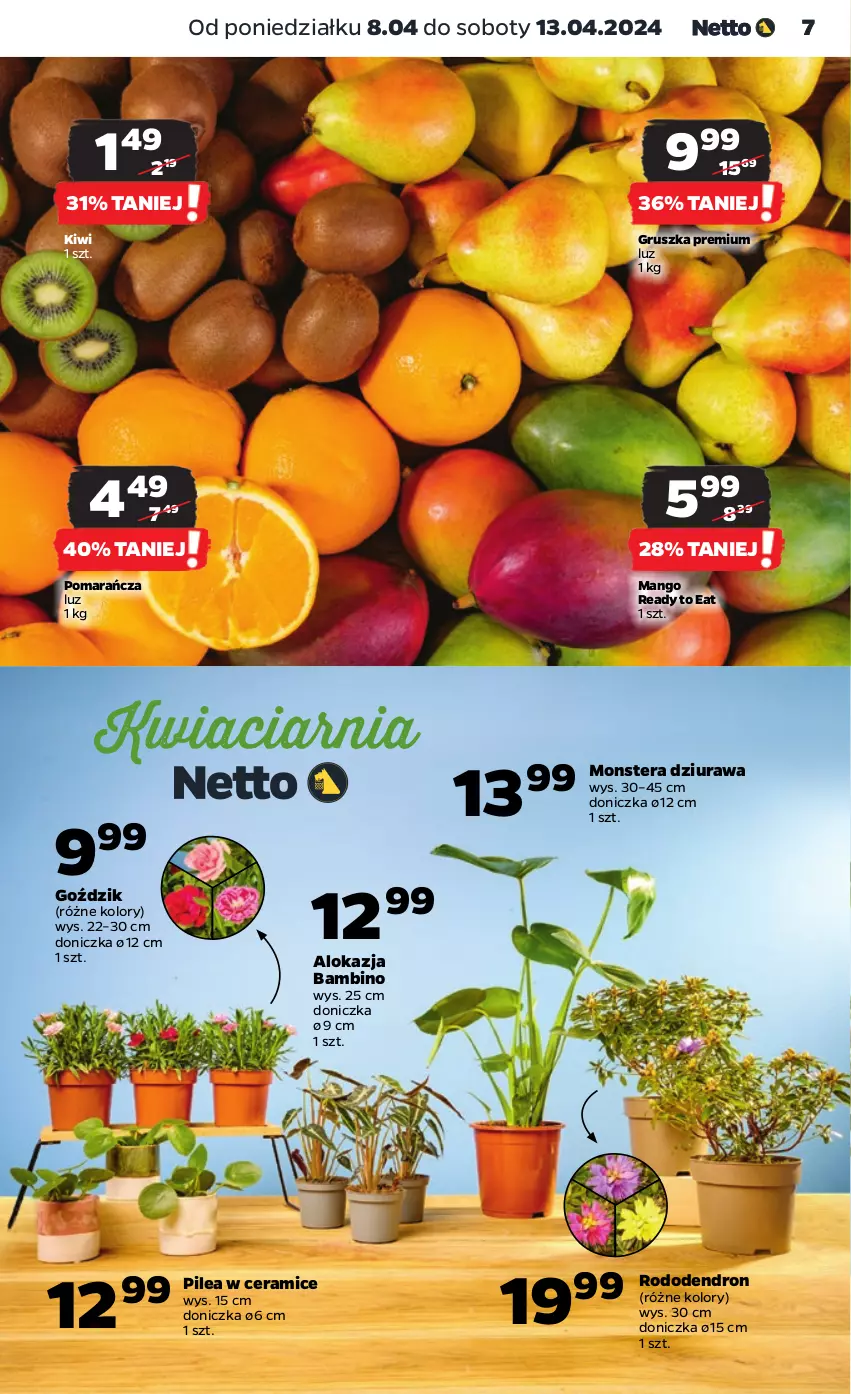 Gazetka promocyjna Netto - Od Poniedziałku - ważna 08.04 do 13.04.2024 - strona 7 - produkty: Kiwi, Mango, Tera